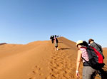 Gravissant une dune du Namib